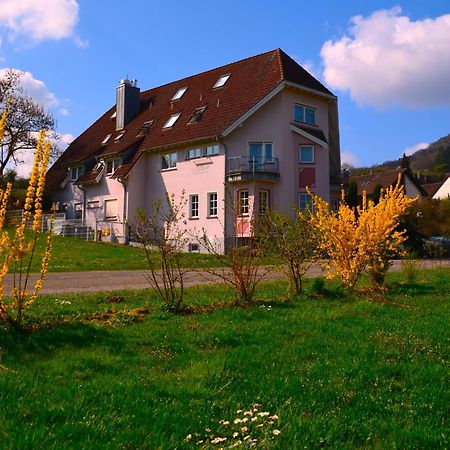 Castell Hotel & Restaurant Ляйнсвайлер Екстер'єр фото